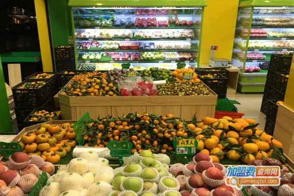 新鲜果园加盟费