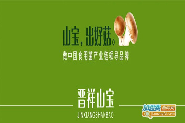 晋祥山宝加盟费