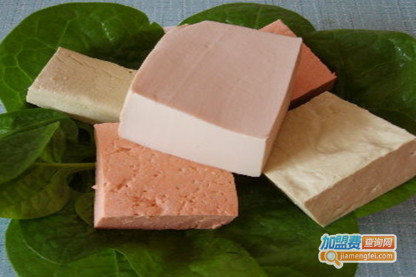 豆府村彩色豆腐坊加盟门店