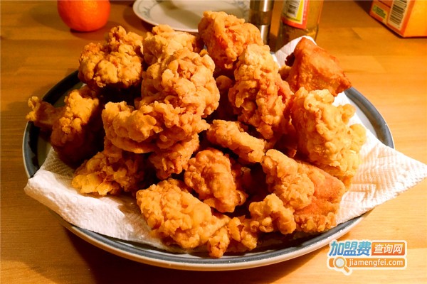 九两炸鸡加盟费