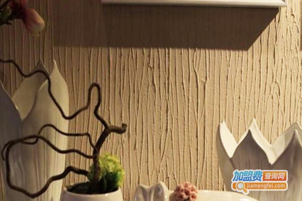 地球家园硅藻泥加盟门店