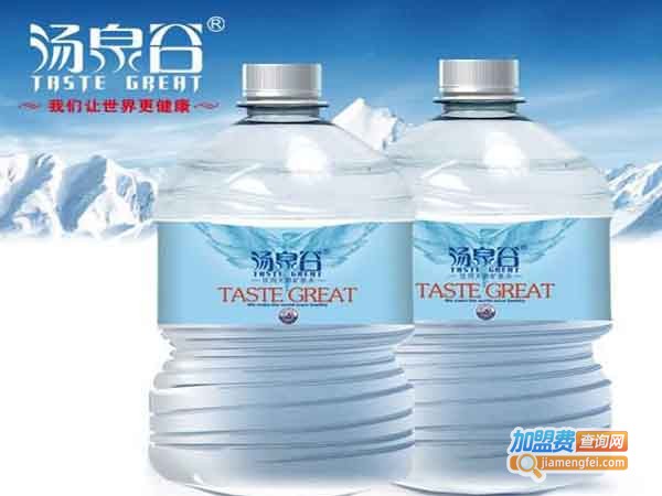 汤泉谷矿泉水加盟_加盟汤泉谷矿泉水门店需要准备什么？