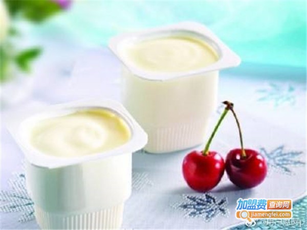 嘴角酸奶加盟费