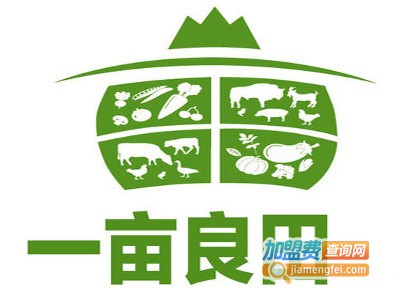 一亩良田牛腩粉加盟费