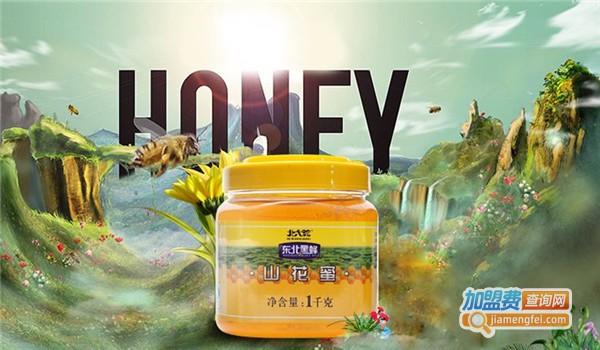 北大荒东北黑蜂蜂蜜加盟费