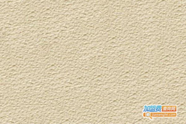 地球家园硅藻泥加盟门店