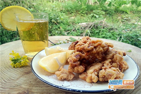 大嘴巴炸鸡加盟费