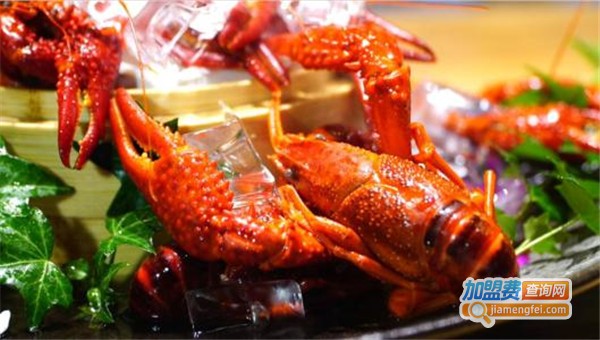 南虾北羊加盟费