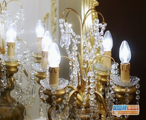 金光树照明加盟