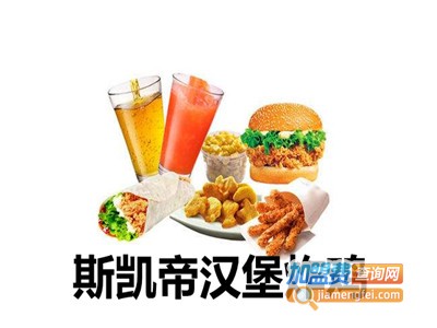 斯凯帝汉堡炸鸡加盟费