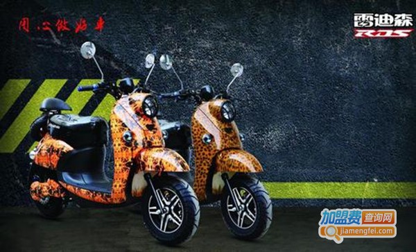 雷迪森电动车加盟费