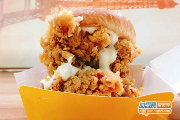 莱客炸鸡汉堡加盟费