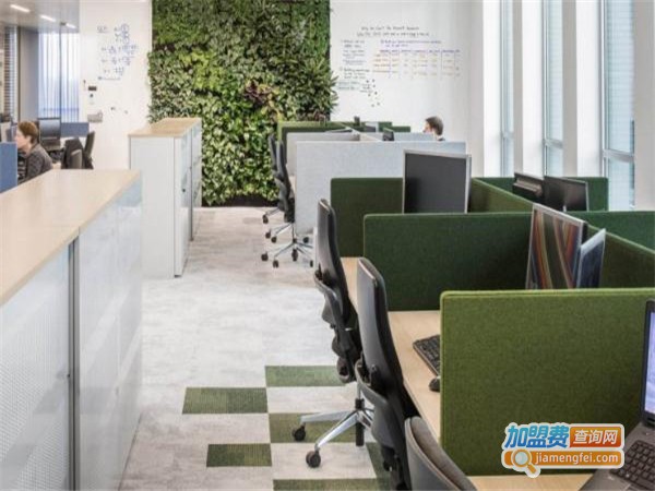 softworks培训加盟费