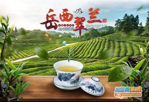 岳西翠兰茶叶加盟费