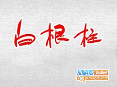 白根柱休闲食品加盟