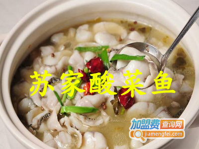 苏家酸菜鱼加盟费