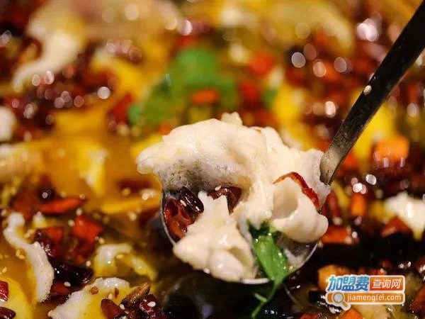 夏记酸菜鱼加盟费