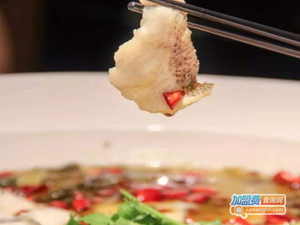 老夫子酸菜鱼加盟费