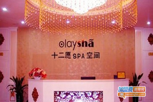 十二愿SPA空间养生加盟费