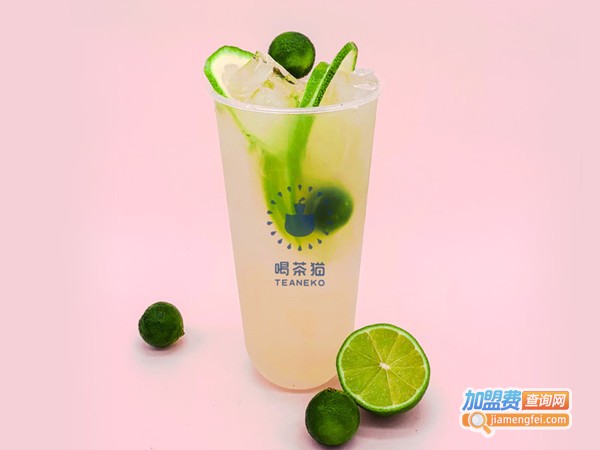 喝茶猫加盟门店