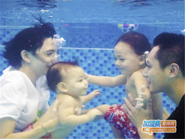 金蝌蚪水育早教加盟费