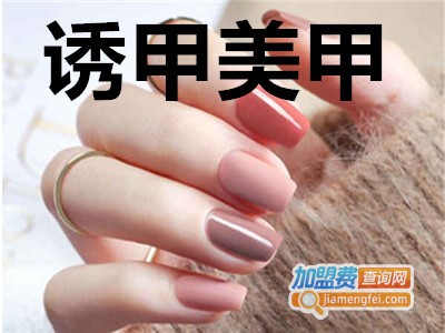 诱甲美甲加盟费