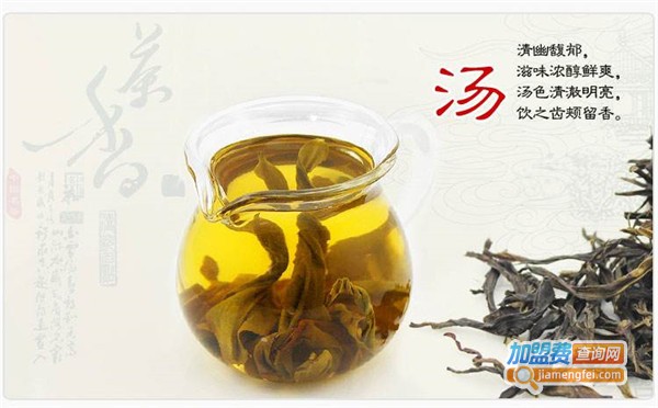 汉草荟养生壶加盟费