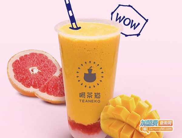 喝茶猫加盟门店