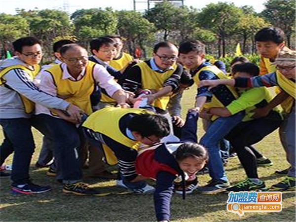 风帜教育加盟费