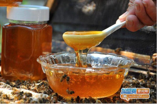 白羊山蜂蜜加盟费