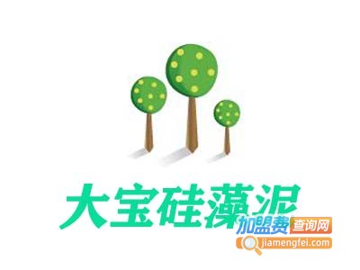 大宝硅藻泥加盟费