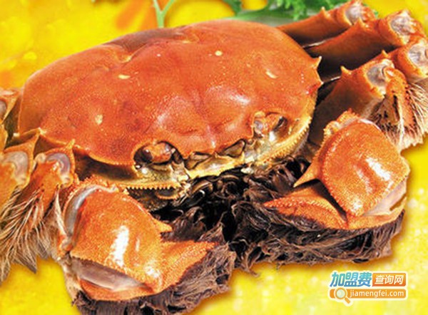 浔龙蟹庄加盟费