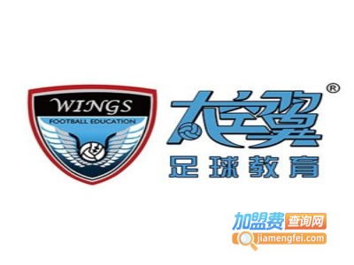 太空翼少儿足球加盟费