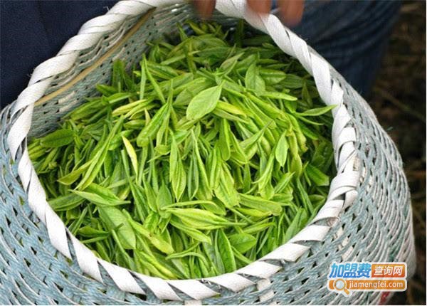 聚皇茶叶加盟