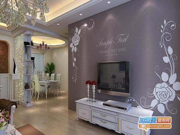 大宝硅藻泥加盟费