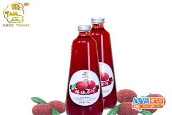 聚仙庄加盟门店