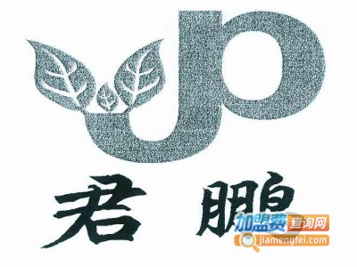君鹏物联智能家居加盟