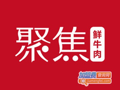 聚焦鲜牛肉加盟费