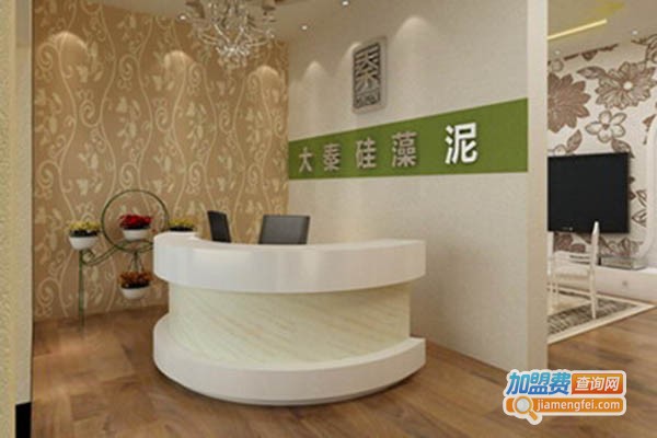 美尚美居硅藻泥加盟门店