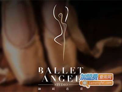 翩跹芭蕾培训加盟费