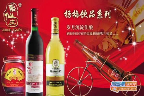 聚仙庄加盟门店