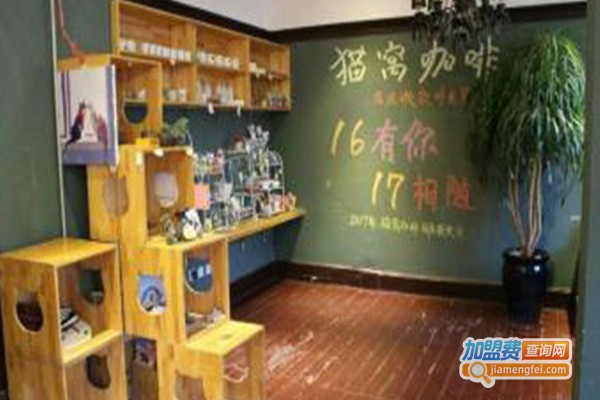 cattery猫窝咖啡馆加盟费