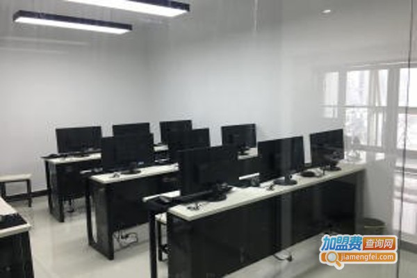 胡杨树教育加盟费