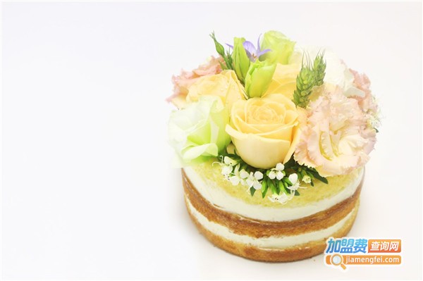 莱德莱福蛋糕加盟费