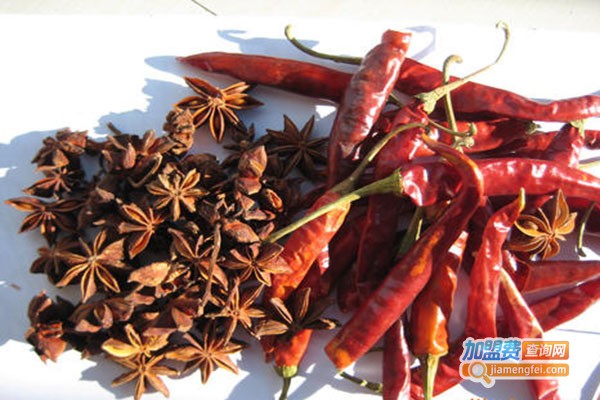 大厨四宝调味品加盟门店