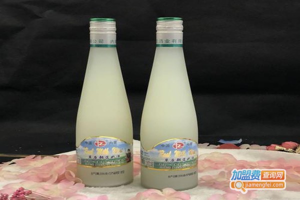 帅牛奶酒加盟费