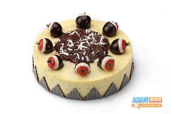 啊俪诗嘉加盟费