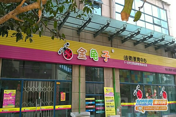 金龟子早教