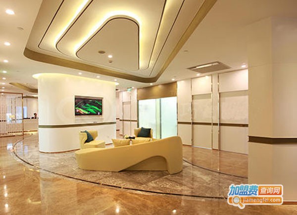 美之术美容加盟费