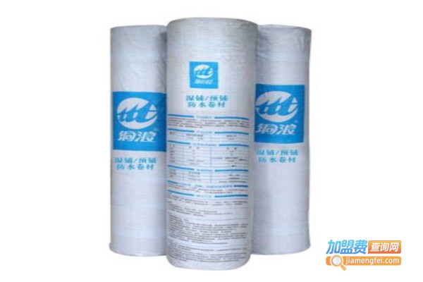 铜浪涂料加盟费